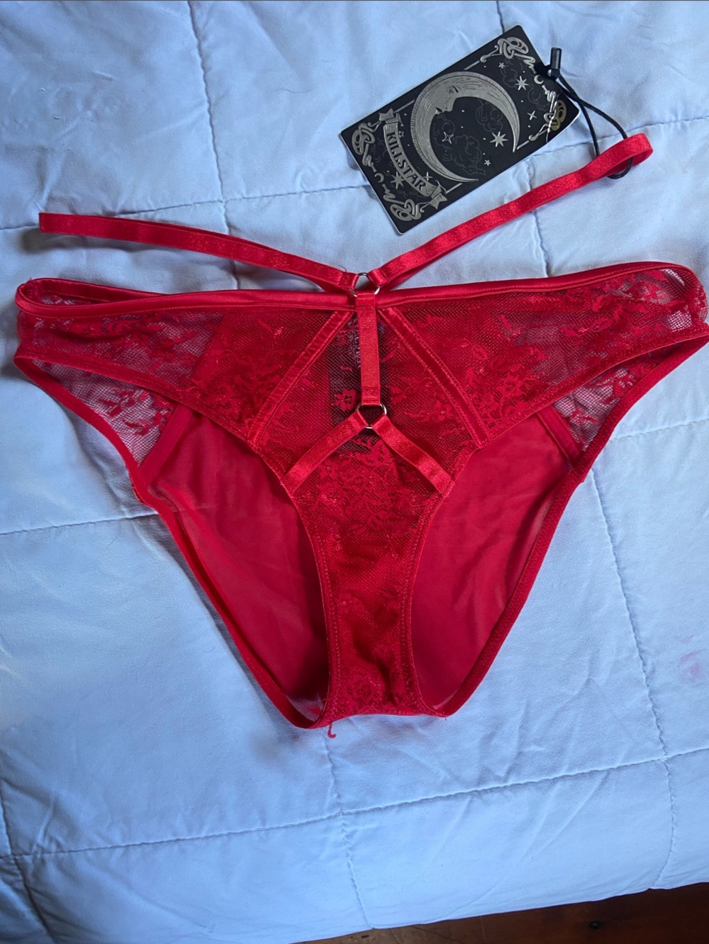 🏷️ BNWT Killstar Deadly Attraction Red Lace Panel Sheer Panty~O-Ring Accent